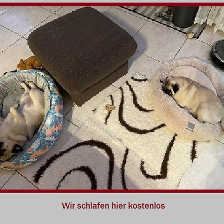 Stadt-Gut-Hotel Rheinischer Hof Essen Luaran gambar